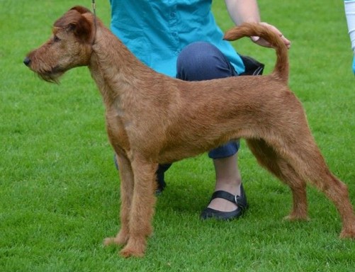 10168158_10152288037539710_1835793072_n