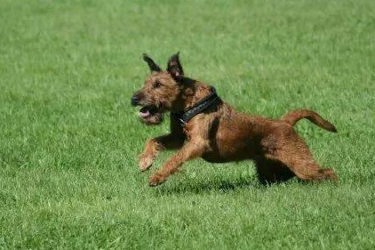 10491988_10153028615069710_7793915926308317847_n