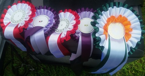 13686655_10154365989339710_5003261583018710238_n