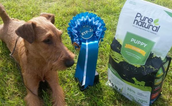 14344802_10154496056569710_3567589854719381768_n