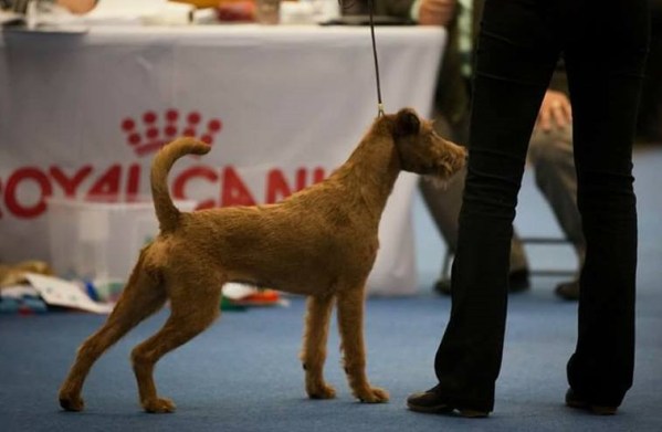 15338654_10154799904139710_7636505181088982322_n