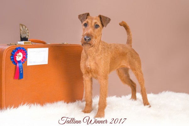 17880272_10155210048774710_6672527822863831887_o