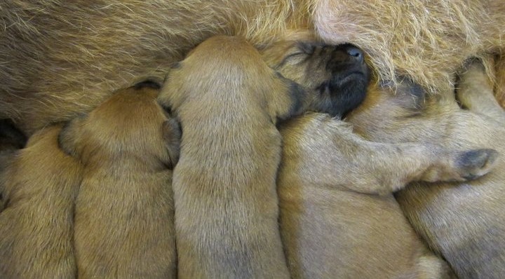 222028_10150177948239710_523046_n