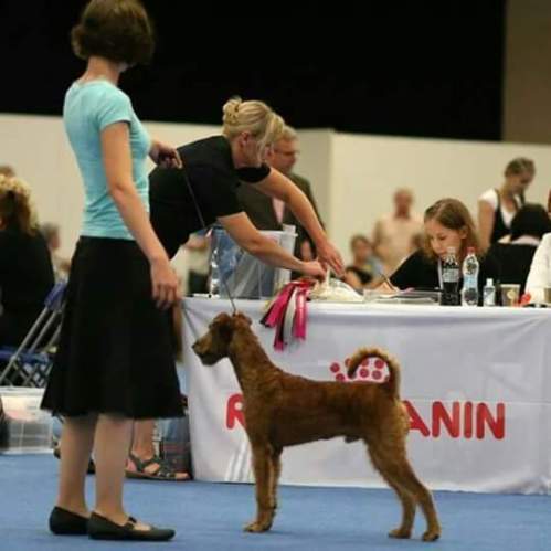 10382002_10153813373384710_7296415549410777905_n