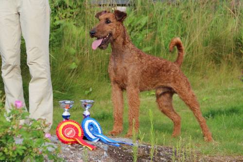 11709885_10153445249139710_5714248519118043194_o