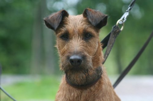 4671_89232344709_7136078_n