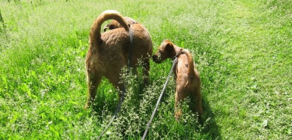 251347_10150224412929710_6781060_n